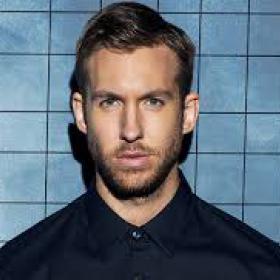 Calvin Harris - Array