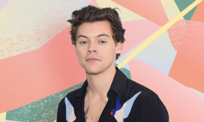 Harry Styles interrompt son concert pour répondre aux besoins d'une spectatrice enceinte