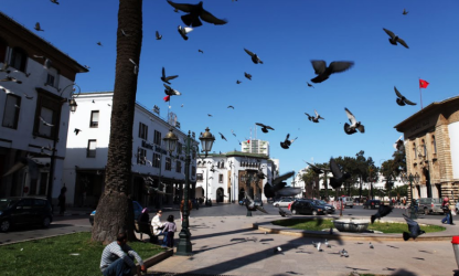 Le 22 septembre, journée sans voiture à Rabat