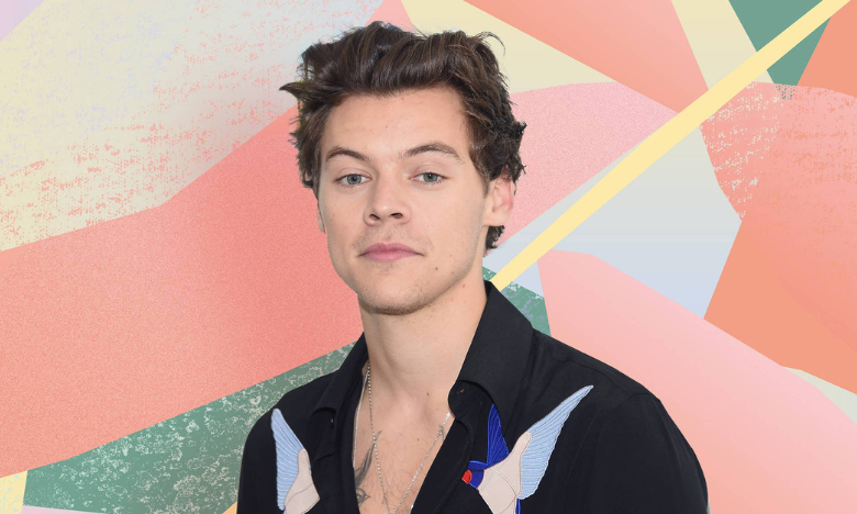 Harry Styles interrompt son concert pour répondre aux besoins d'une spectatrice enceinte